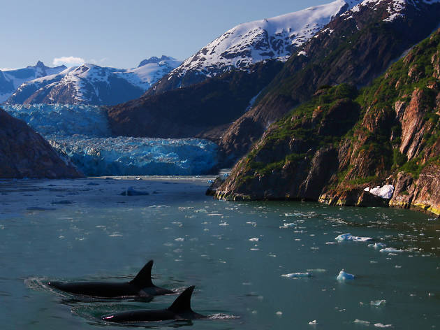 Alaska Cruise with Carnival Alaska Cruise with Carnival