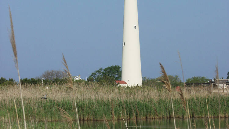 Cape May, NJ