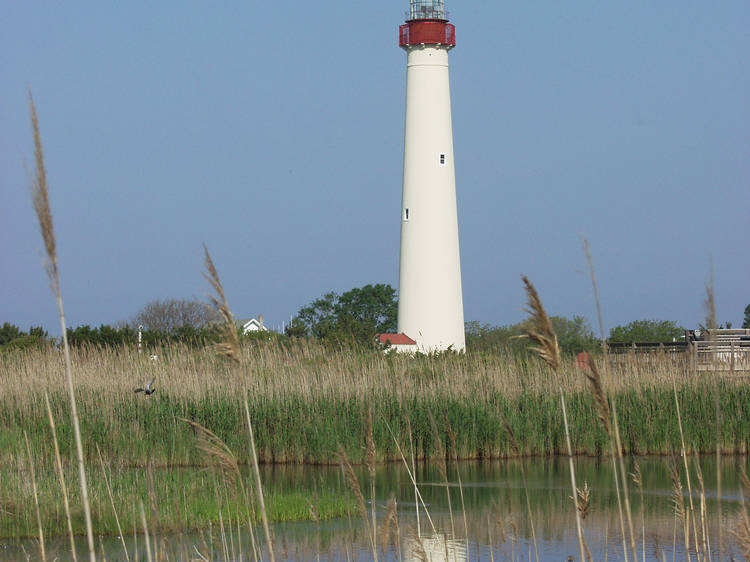 Cape May, NJ