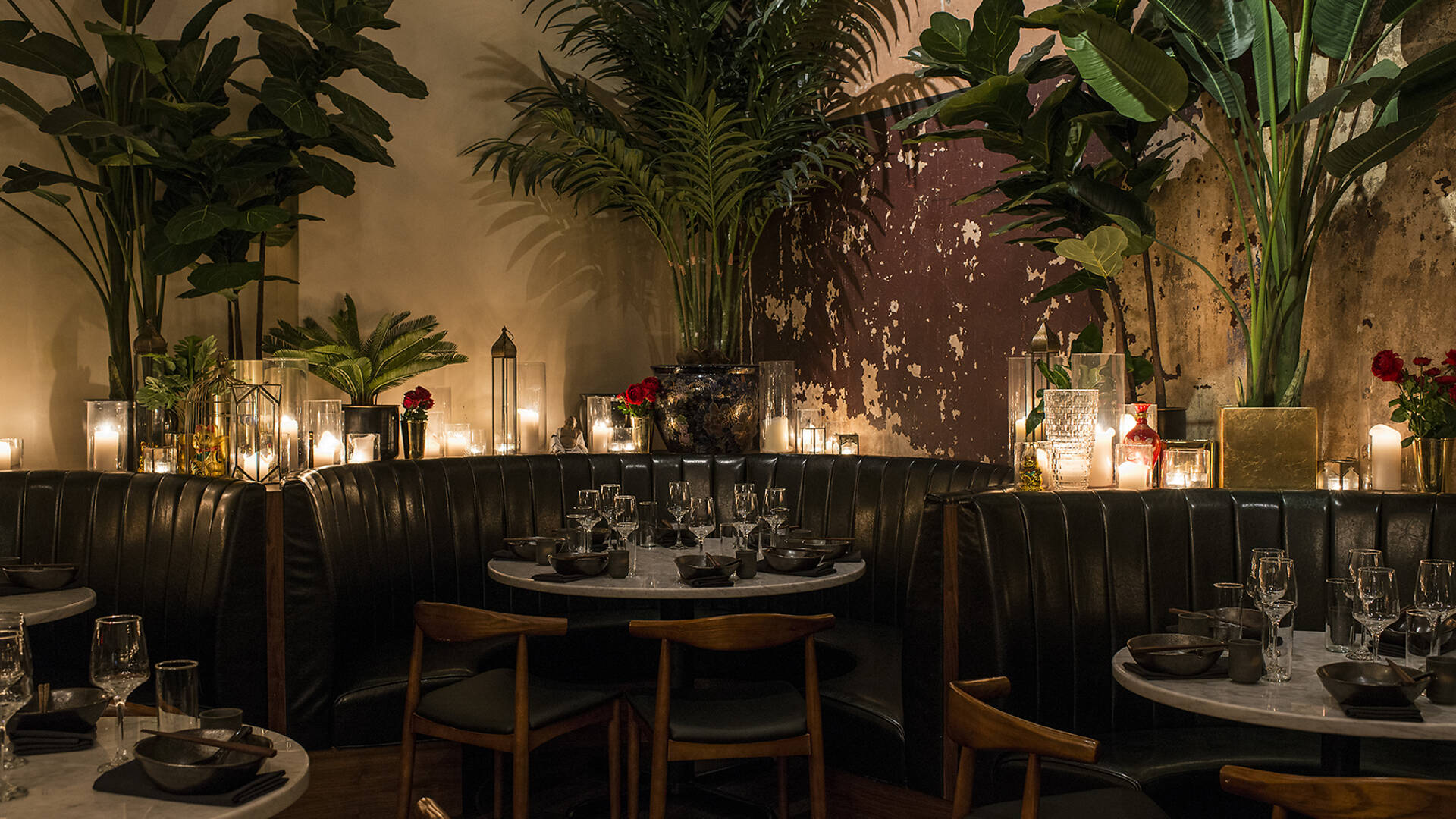 Chinese Tuxedo | Restaurants in Chinatown, New York