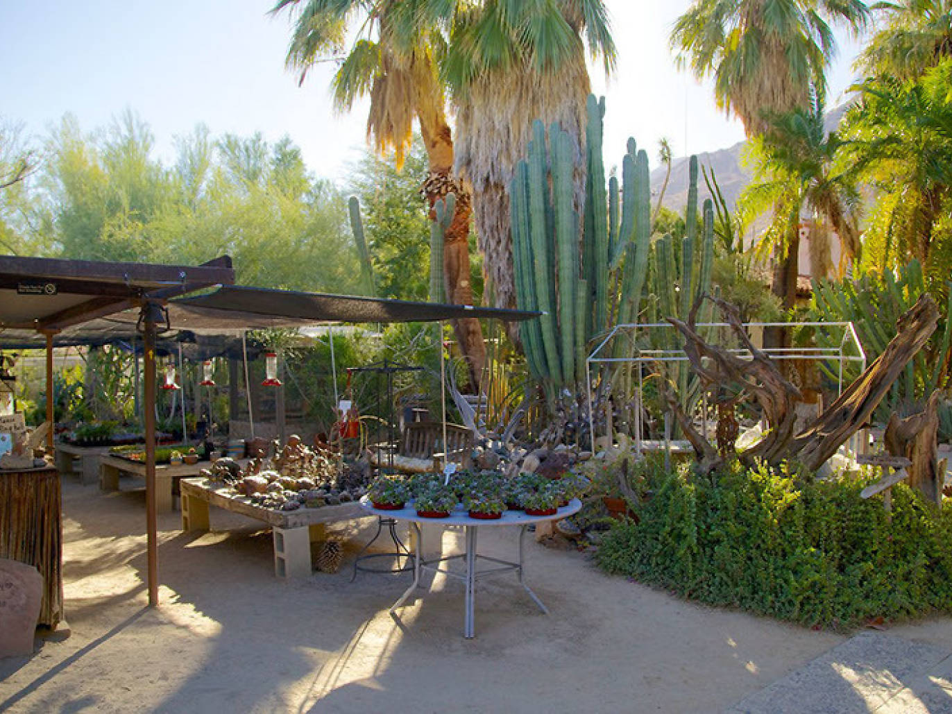12 Best Things To Do In Palm Springs In 2023