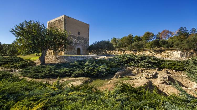 Mañana día 2: Vila-seca y Parc de la Torre d'en Dolça