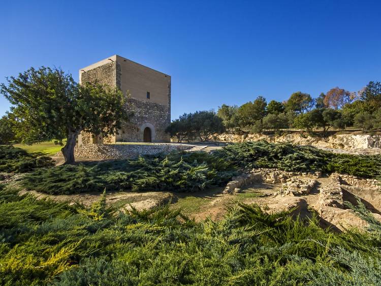 Mañana día 2: Vila-seca y Parc de la Torre d'en Dolça