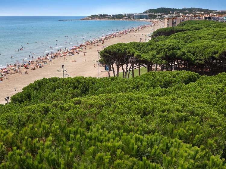 Platja de la Pineda