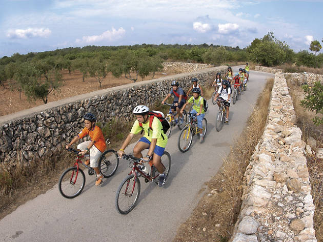 Matí dia 2: la Ronda Verda del Baix Gaià Matí dia 2: la Ronda Verda del Baix Gaià