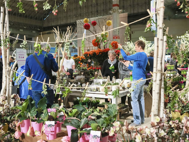 Photos From The Chicago Flower Garden Show At Navy Pier