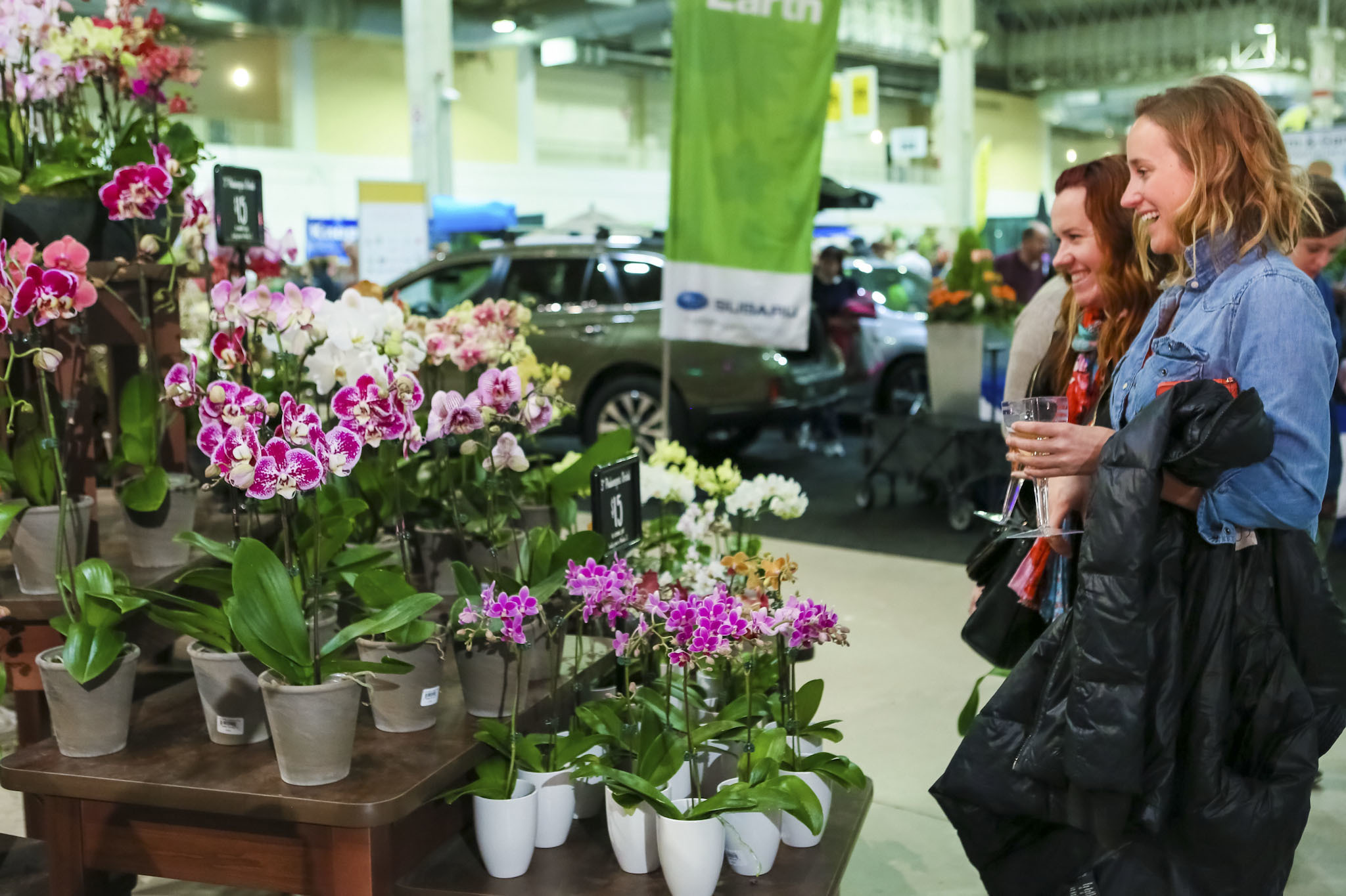 Photos from the Chicago Flower & Garden Show at Navy Pier