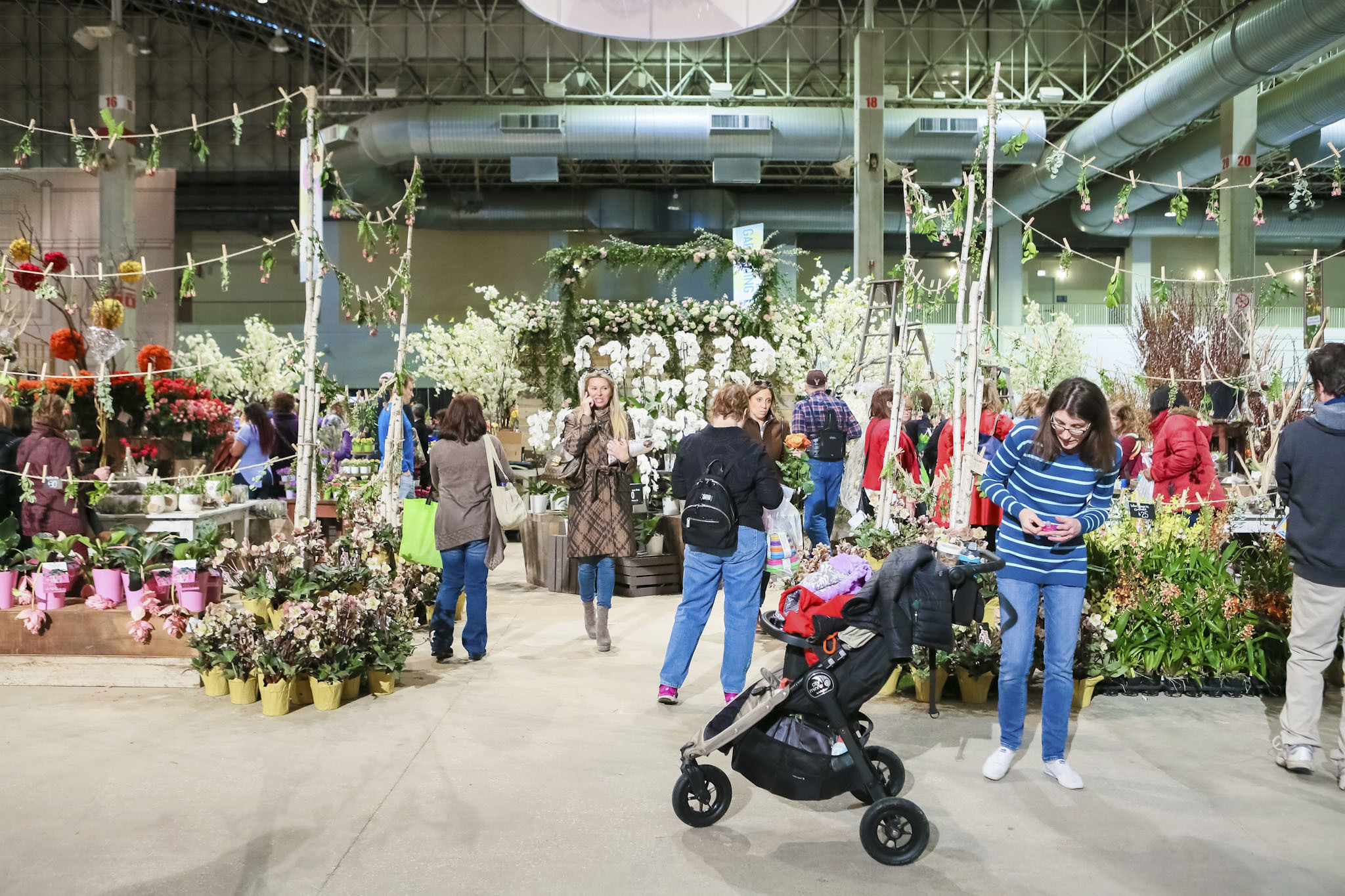 photos from the chicago flower & garden show at navy pier