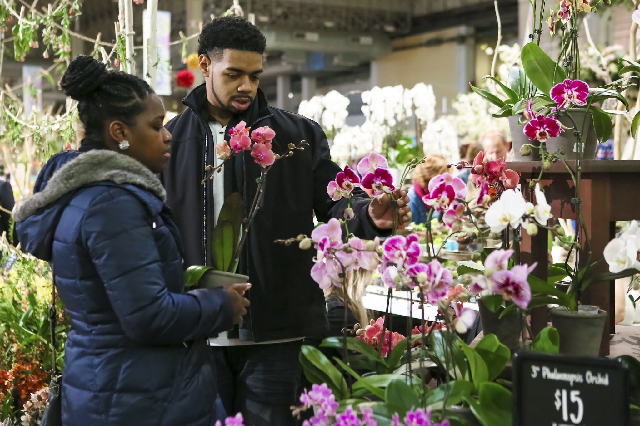 Photos from the Chicago Flower & Garden Show at Navy Pier