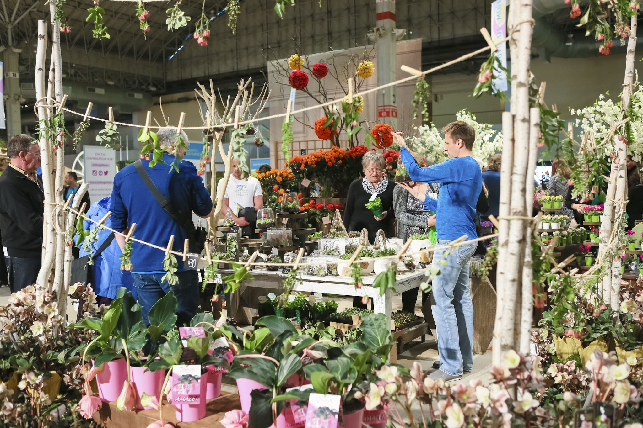 Photos from the Chicago Flower & Garden Show at Navy Pier