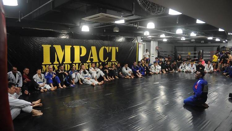 Impact MMA