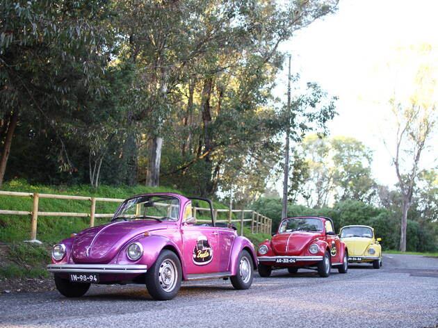A Lisbon by Beetle tem carros de todas as cores