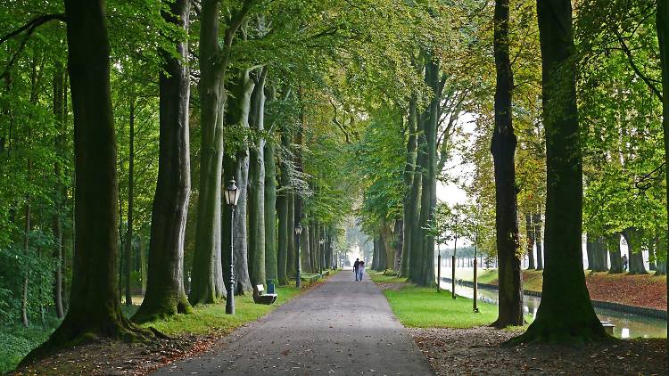 Go boating on the Grand Canal