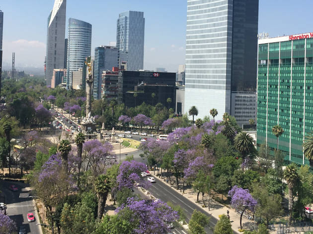Planes para disfrutar solo la CDMX Planes para disfrutar solo la CDMX