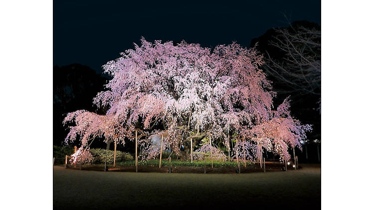 六義園