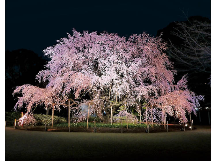 六義園