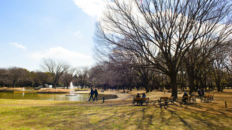 Yoyogi Park