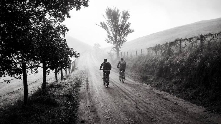 Bicicleta