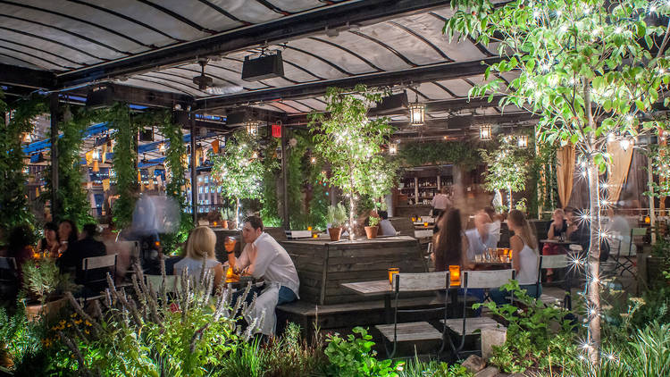 Gallow Green 