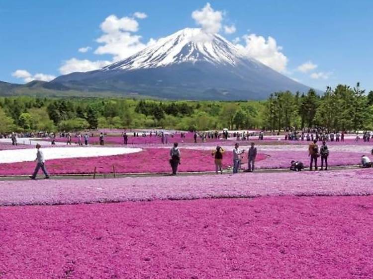 少しだけ遠出する。ー3月28日はグリーンツーリズムの日