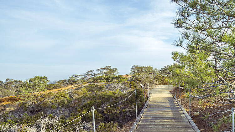 Broken Hill Trail, San Diego, California