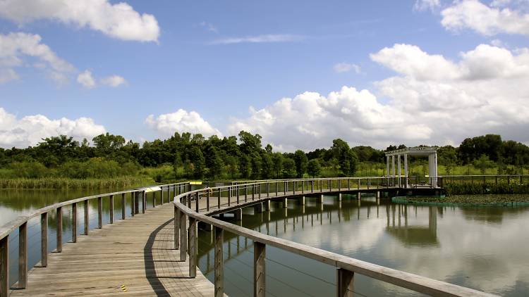 Hong Kong Wetland Park 