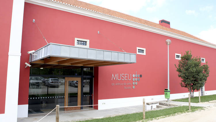 Museu do Vinho e da Vinha