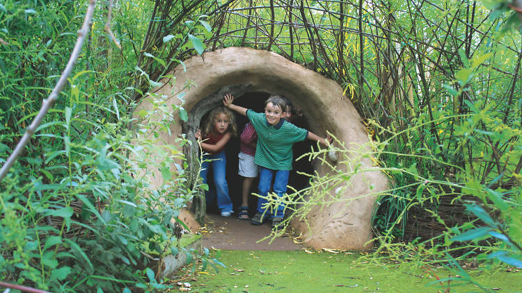 WWT, London Wetland Centre, kids in water vole tunnel.