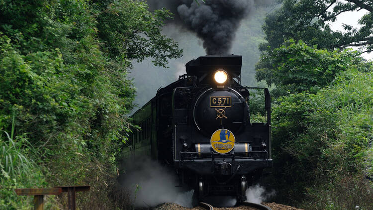 Hop on a steam train...