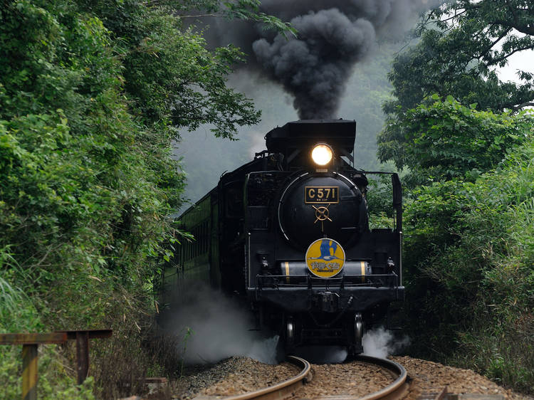 Hop on a steam train...