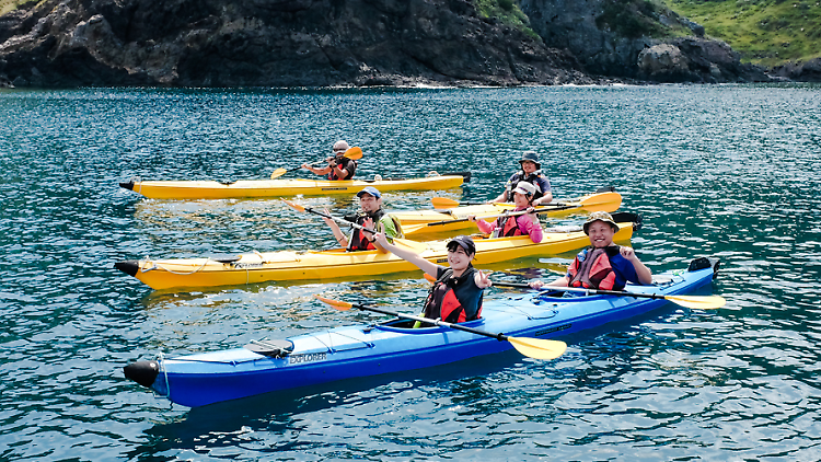 Be a kayak captain...