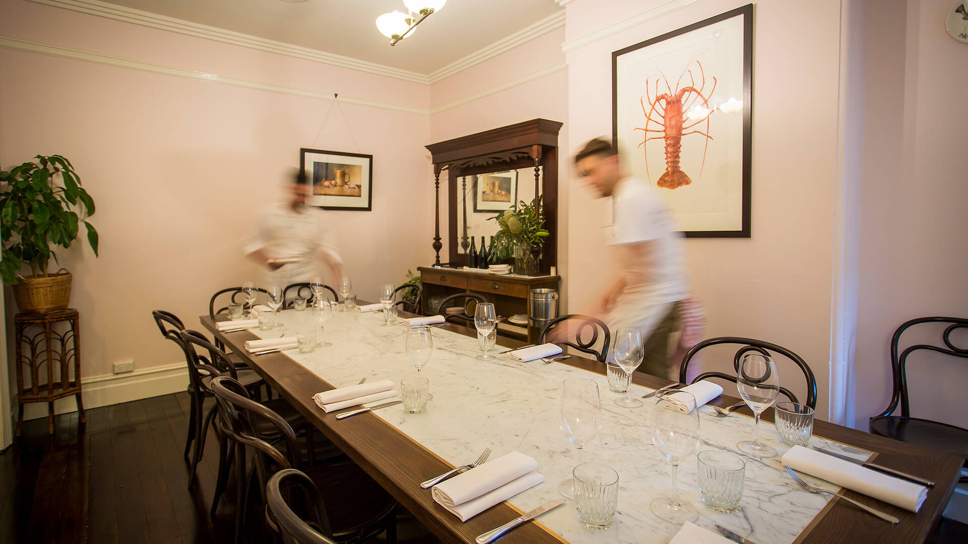 Continental Deli Bar Bistro Newtown Restaurants in Newtown, Sydney