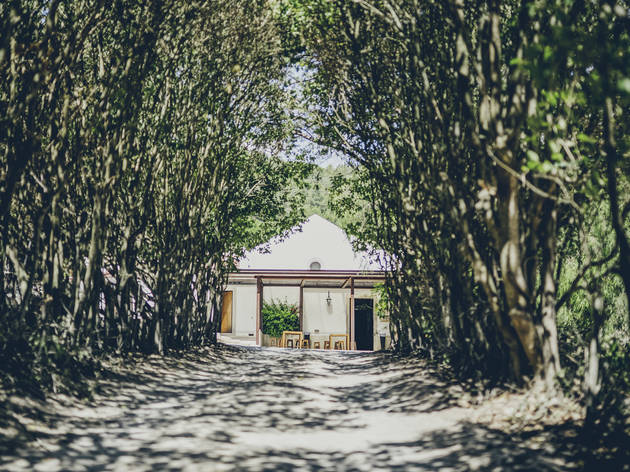 quinta do alcube quinta do alcube