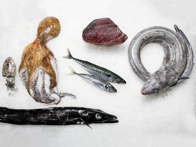 Peixe Peixe