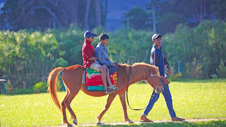 Nuwara Eliya as alive as ever!