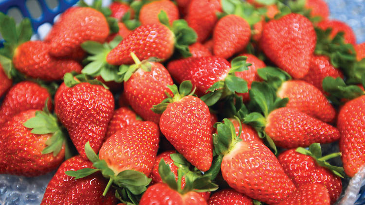 Fresh strawberries