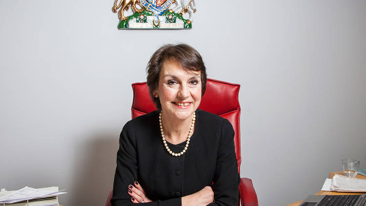 Judge Gillian Brasse