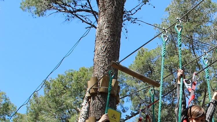 Matí dia 2: trepitjant gespa o dalt dels arbres?