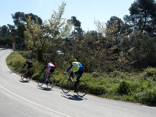 Les temptacions de Collserola - Per guanyar fons Les temptacions de Collserola - Per guanyar fons