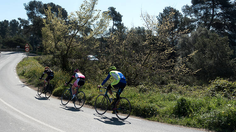 Les temptacions de Collserola - Per guanyar fons 