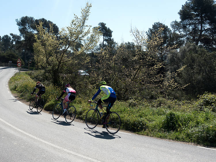 Les temptacions de Collserola - Per guanyar fons 