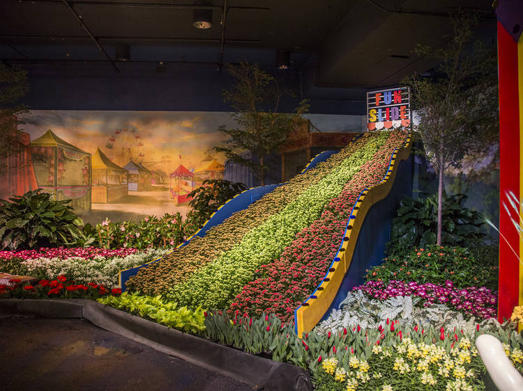 See Macy's in full bloom at the annual Flower Show