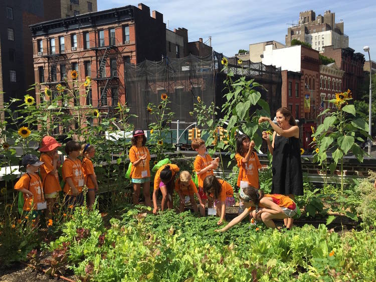 Butter Beans Food & Garden Summer Camp