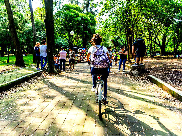 Recorre la Ciudad de México en Bicicleta