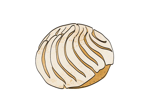 Conchas Conchas