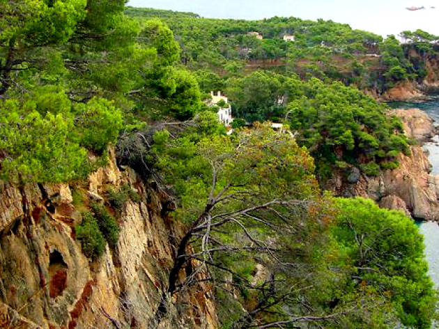 Cala senià Cala senià