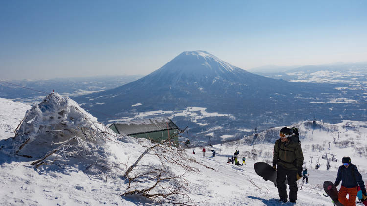 Go skiing in Niseko 