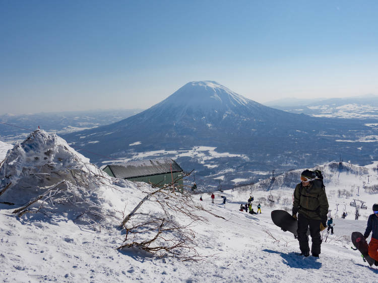 Go skiing in Niseko 