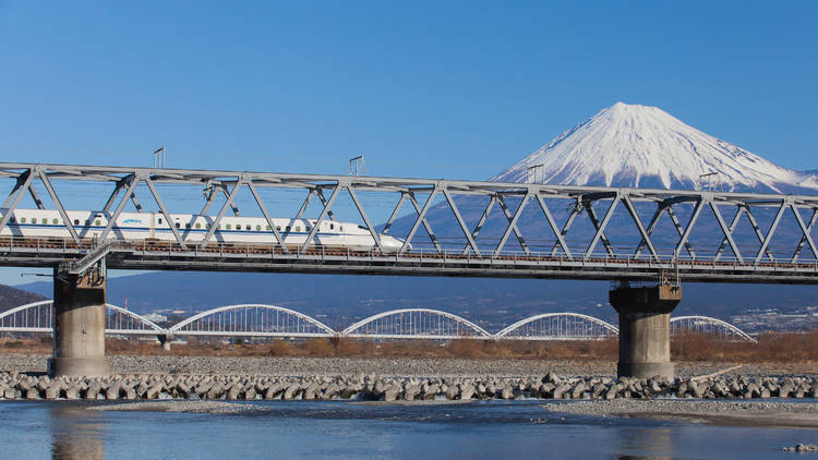 Ride the Shinkansen