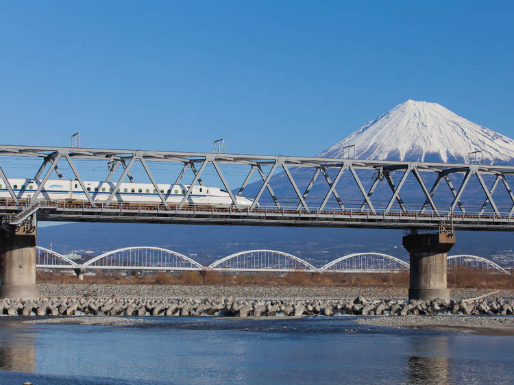 Ride the Shinkansen